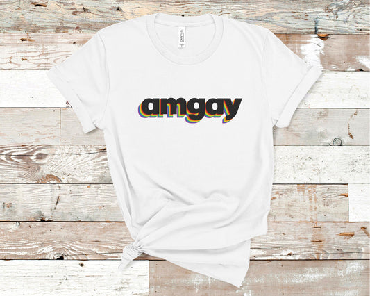 LGBTQ Shirts, Gay Pride T-Shirt, Rainbow Tees