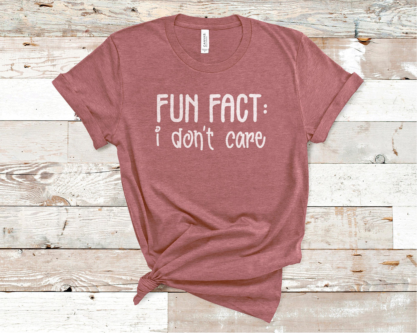 Fun Fact: I Don't Care - Funny/ Sarcastic