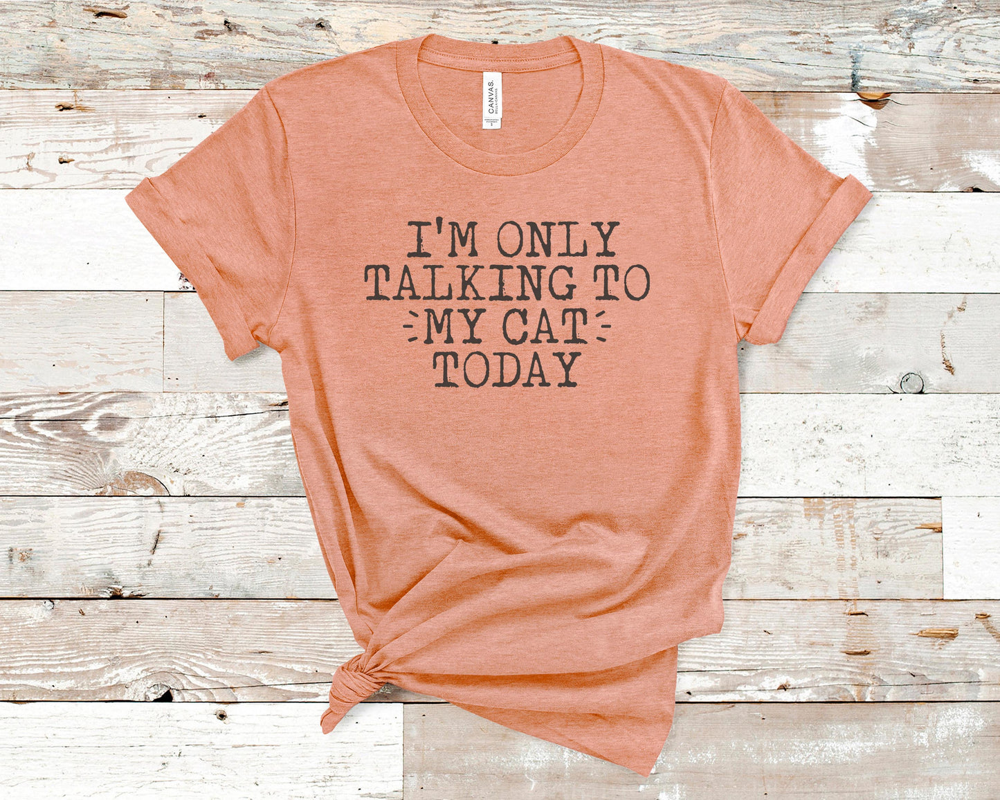I'm Only Talking to My Cat Today - Pet Lovers Shirt